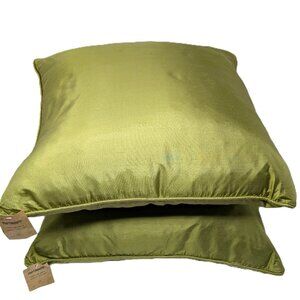 SOLDPier 1 Silk Duck Down Accent Pillows (2) Apple Green NWT 20 X 20